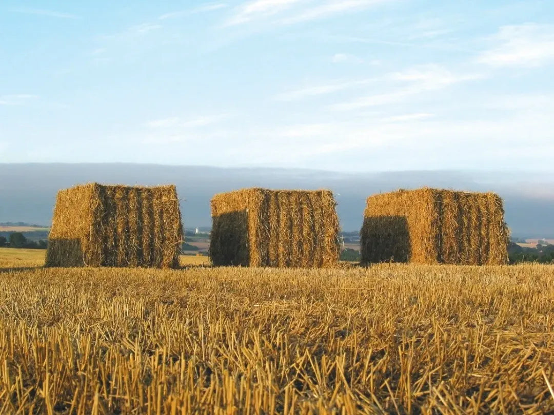 Straw - Spring Barley - 8x4x4 (£/t)